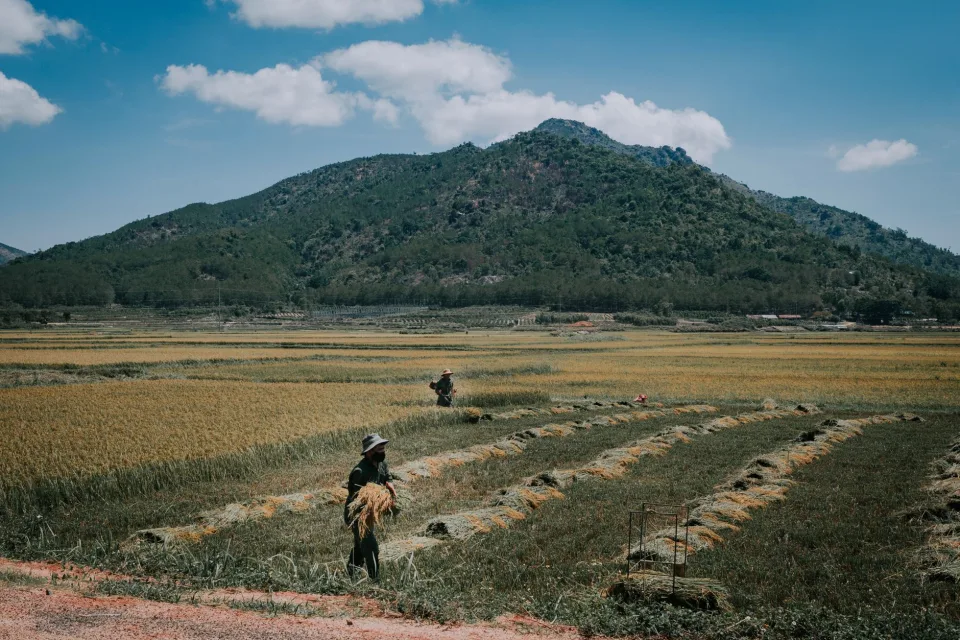 Kho gạo của Thi Văn Long